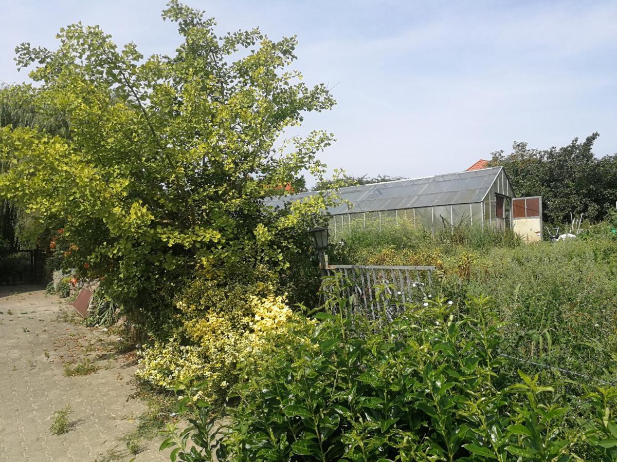 Jennys Hofladen Appartement Usedom Town Buitenkant foto